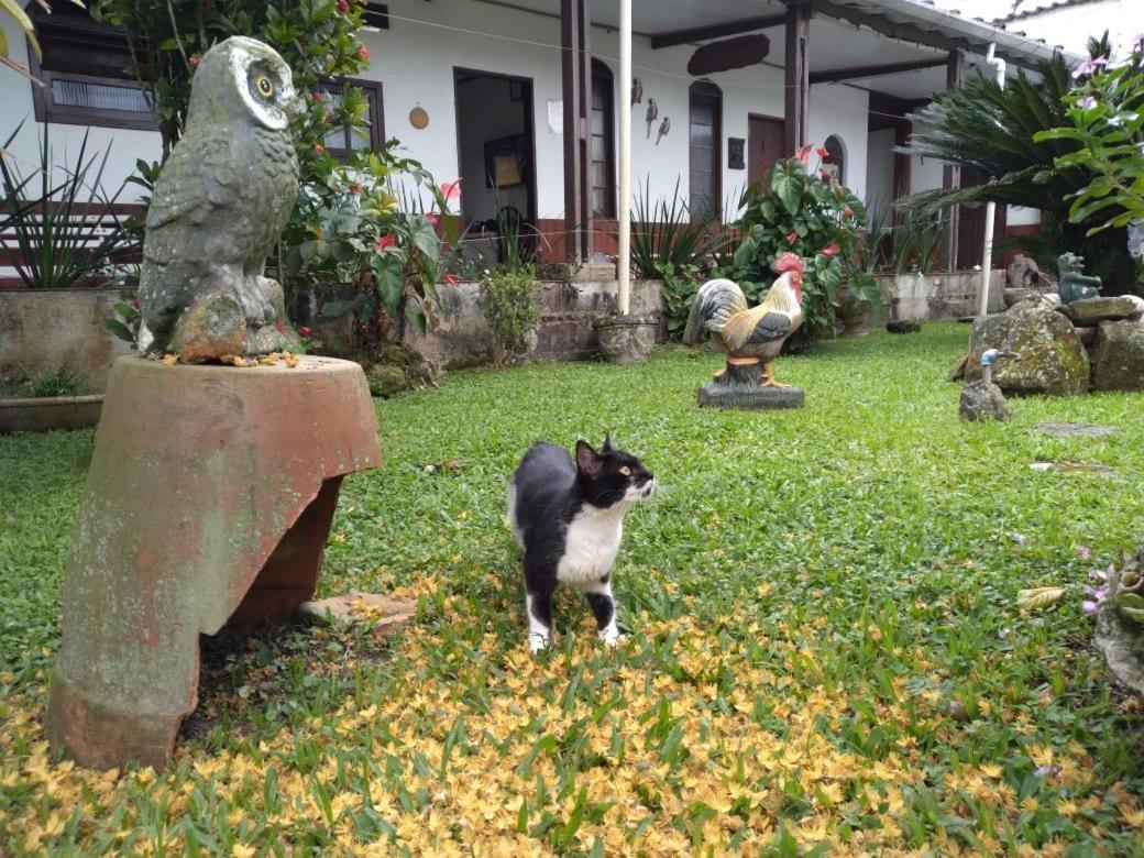 Da Geisa Estalagem Bertioga